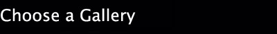 Choose a Gallery